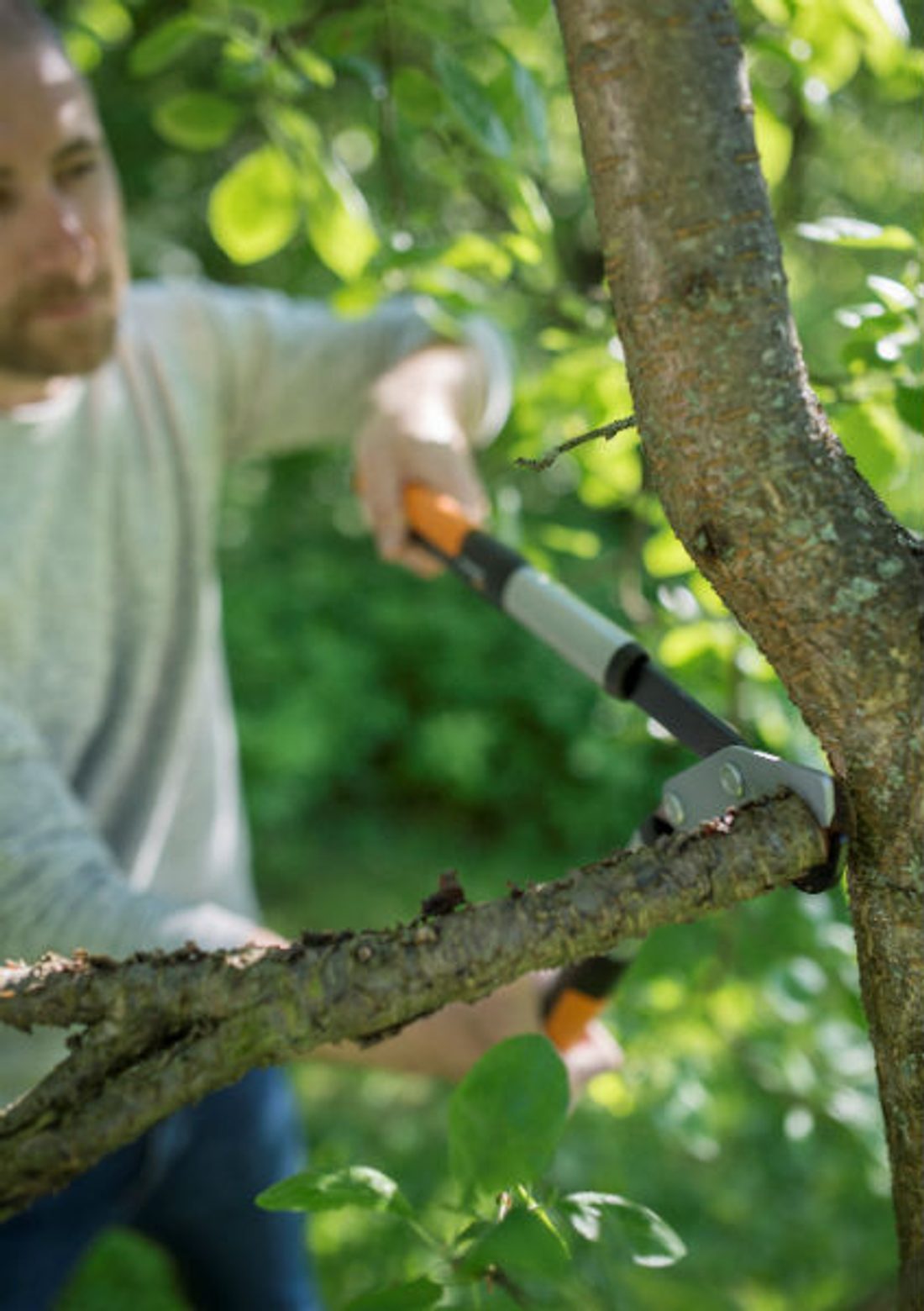 nowe sekatory Fiskars z linii PowerGearX™