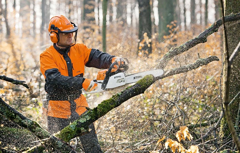 Samodzielne pozyskiwanie drewna STIHL