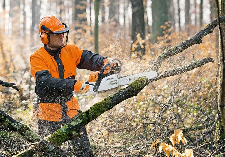 Samodzielne pozyskiwanie drewna STIHL