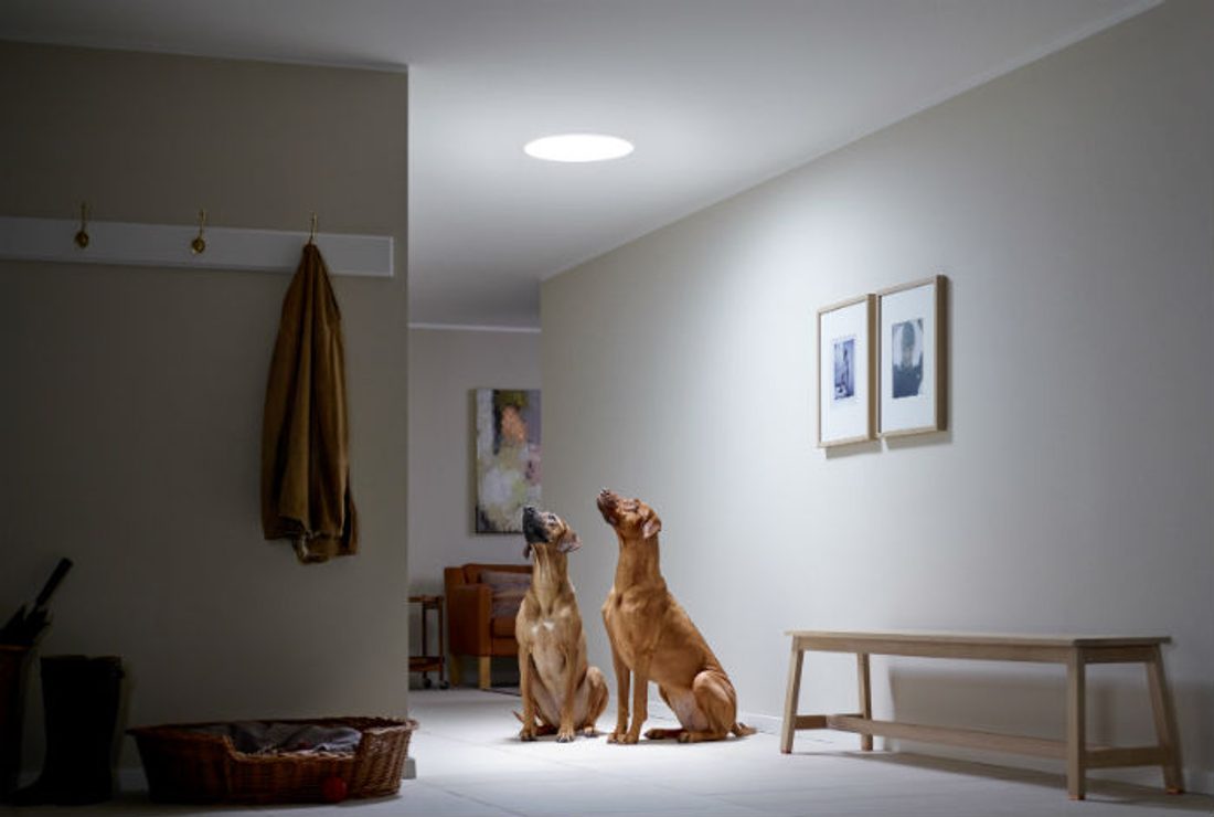 świetliki tunelowe Velux