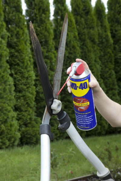 WD 40
