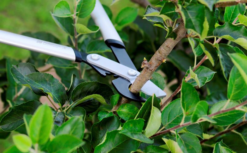 sekatory nożycowe Fiskars PowerGearX™