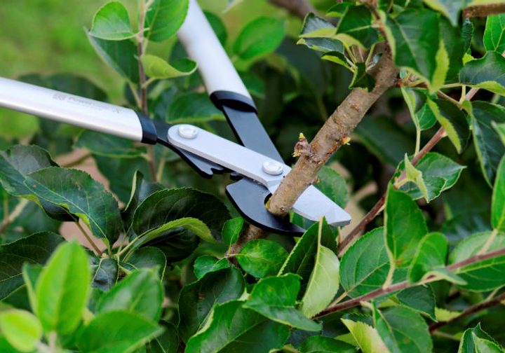 sekatory nożycowe Fiskars PowerGearX™