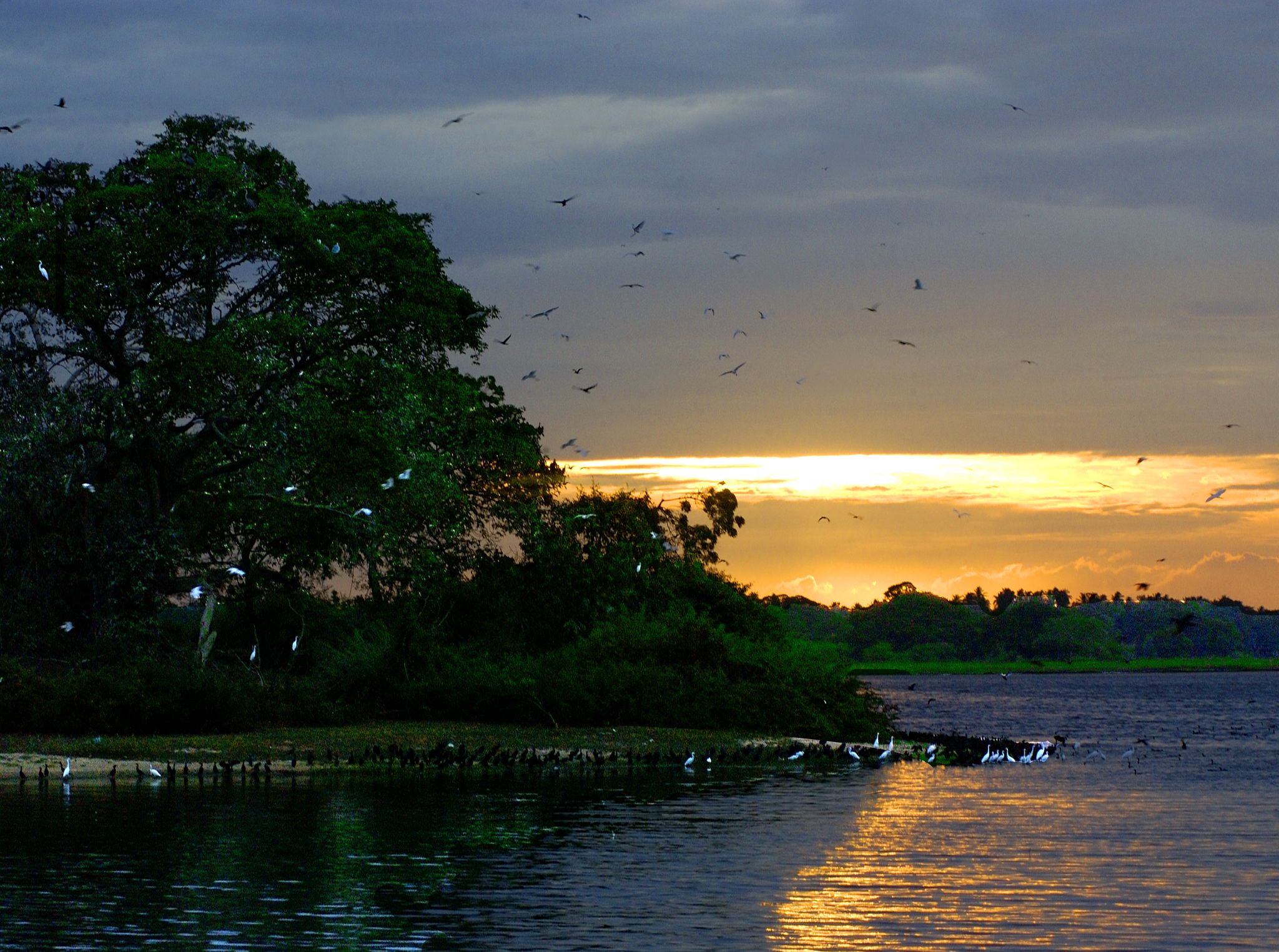 BUNDALA NATIONAL PARK