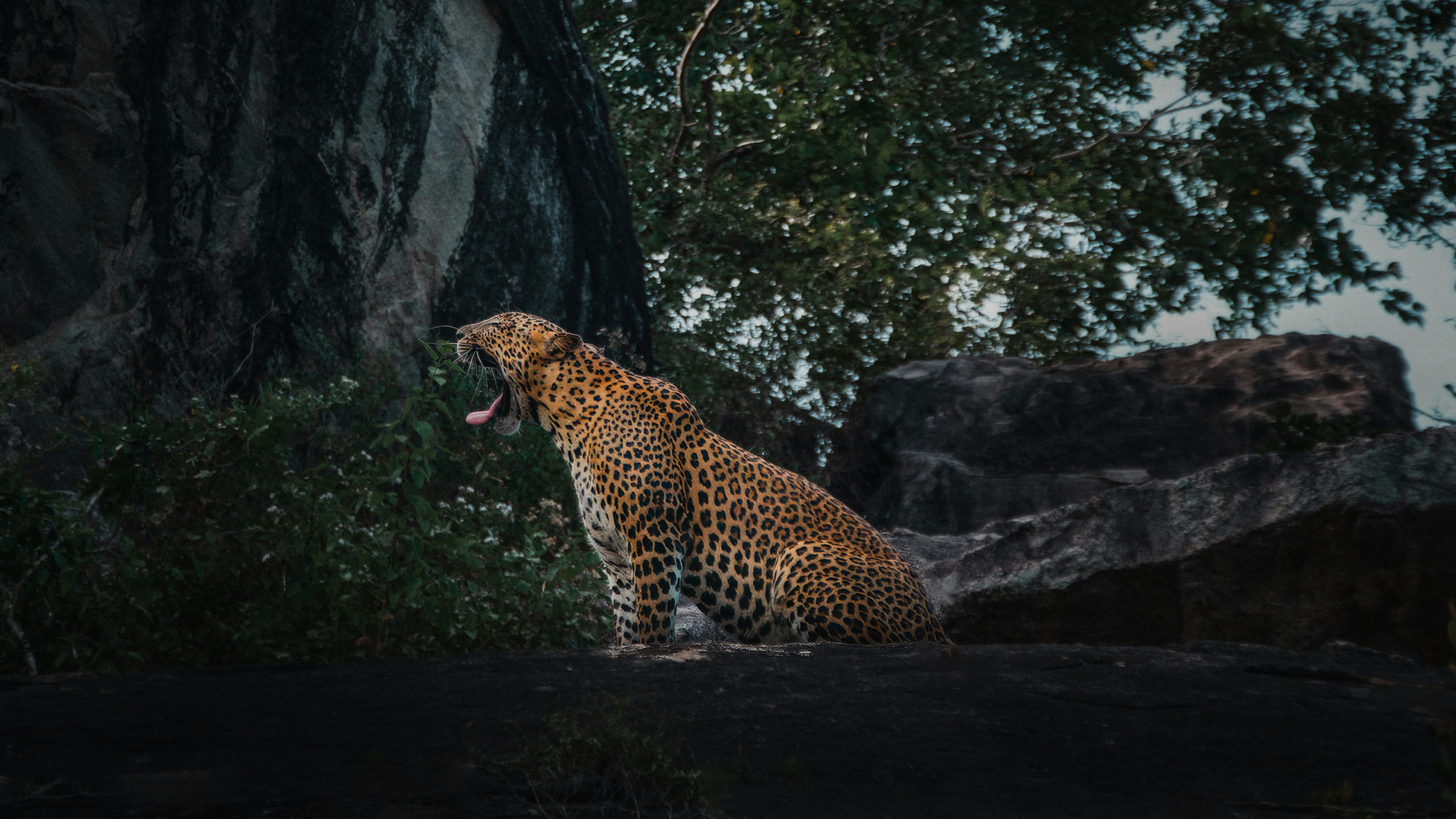YALA NATIONAL PARK