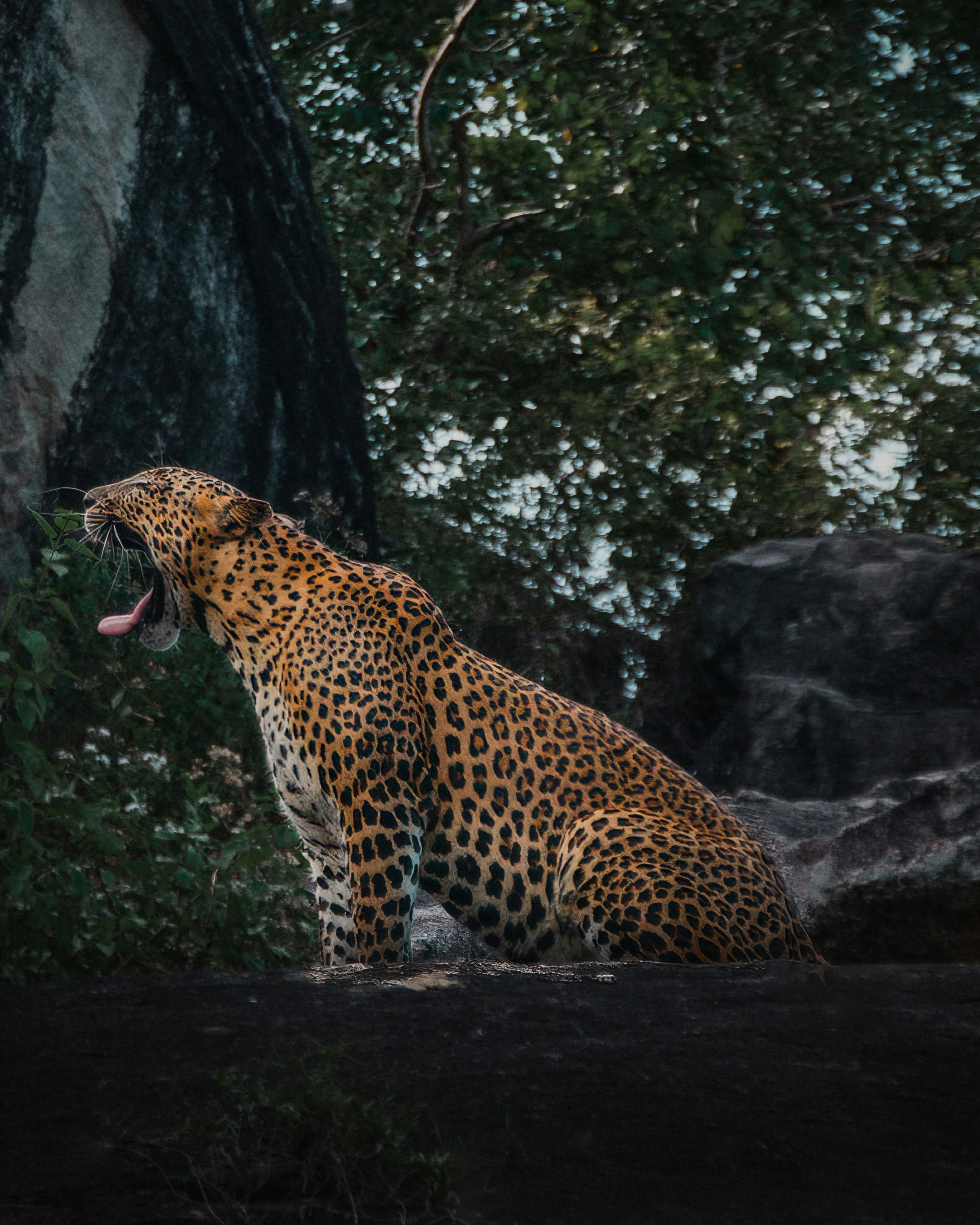 YALA NATIONAL PARK