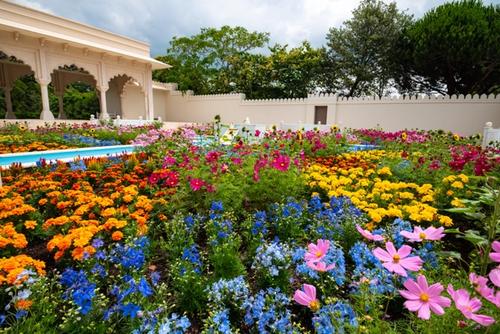 Contact details image