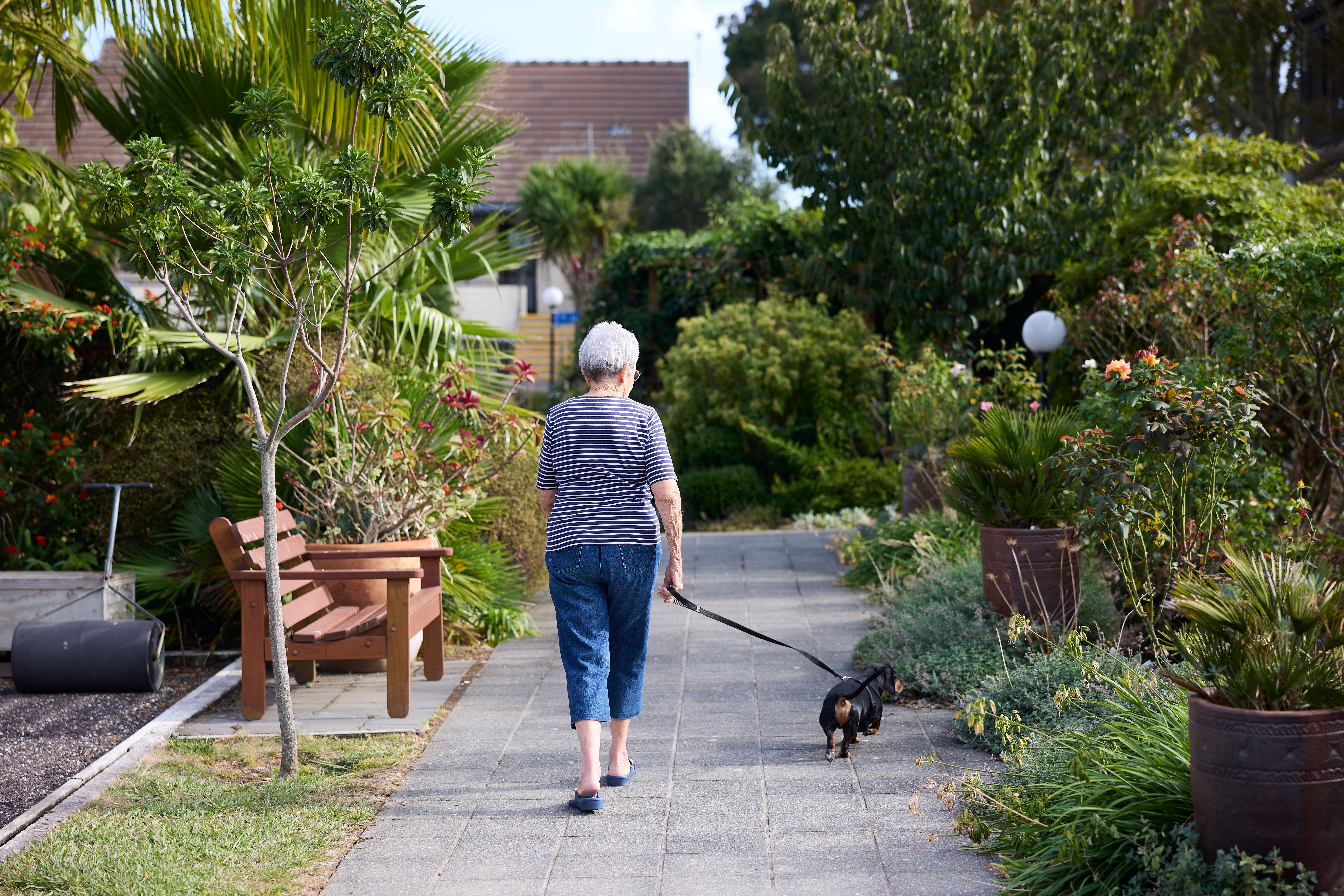 Resident walking her dog through the village grounds at Highlands