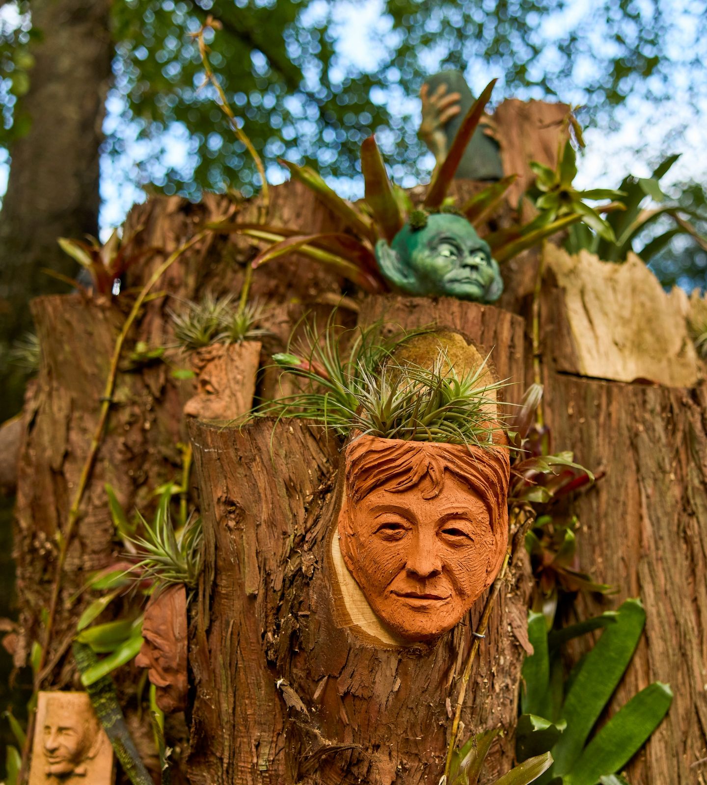 Artworks in the trees