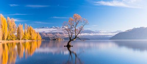 Contact details image