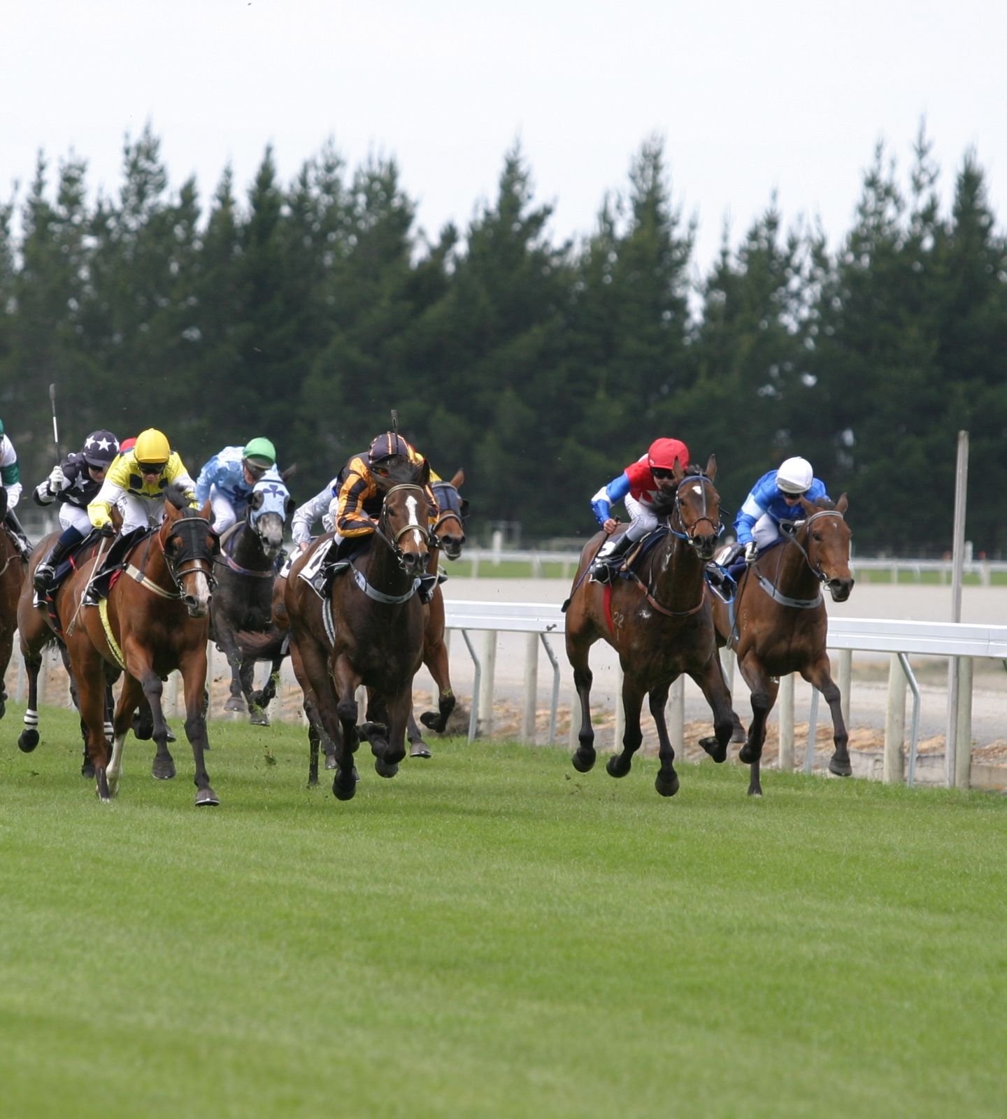 horse racing