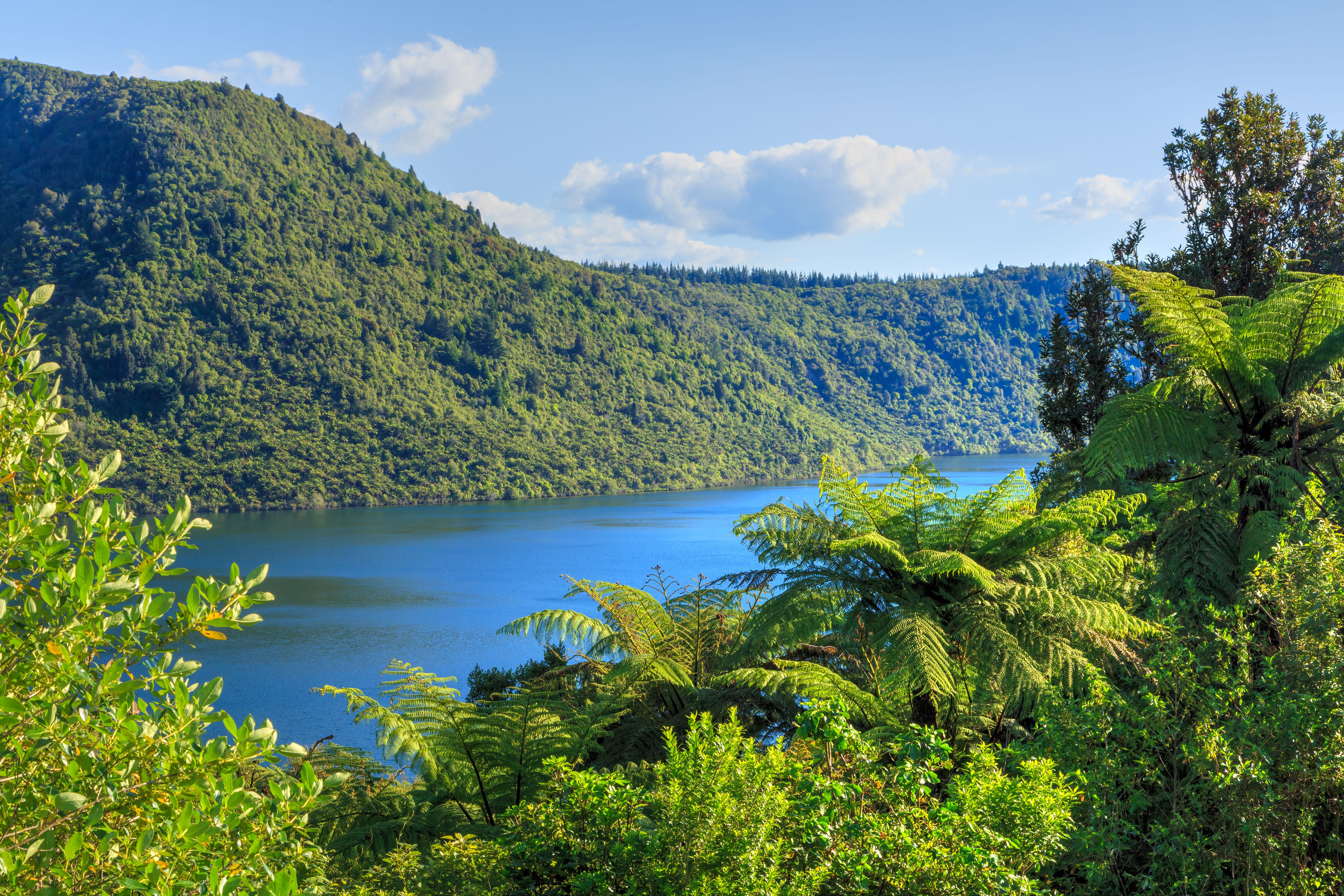 NZ Scenery 