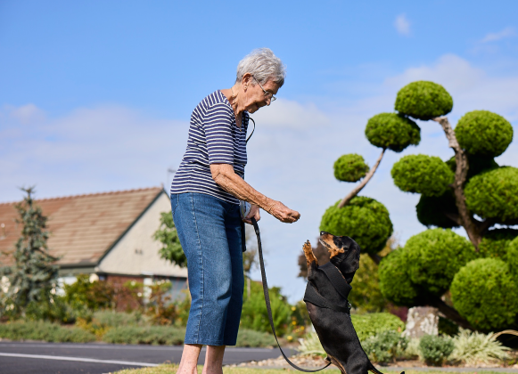 Lady enjoying a walk with her dog around the village
