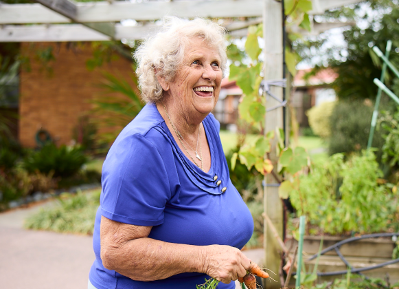 Lady picking carrots in Hibiscus Coast village