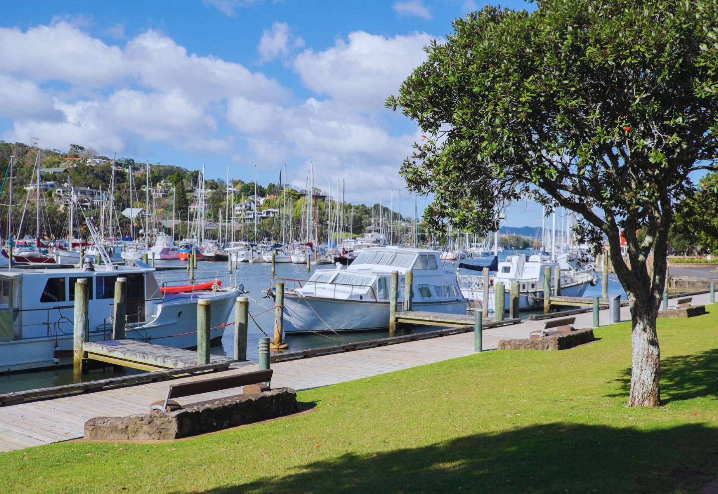 whangarei town basin