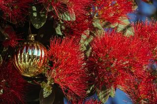 christmas cheer