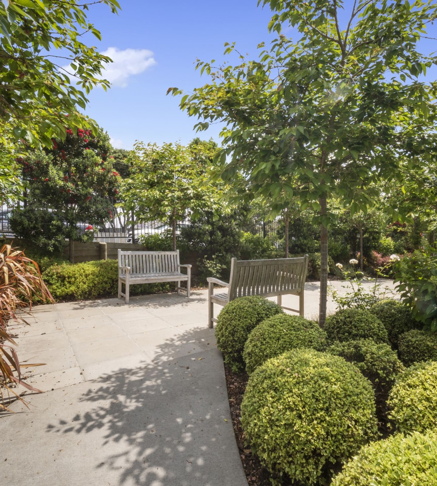 Garden view