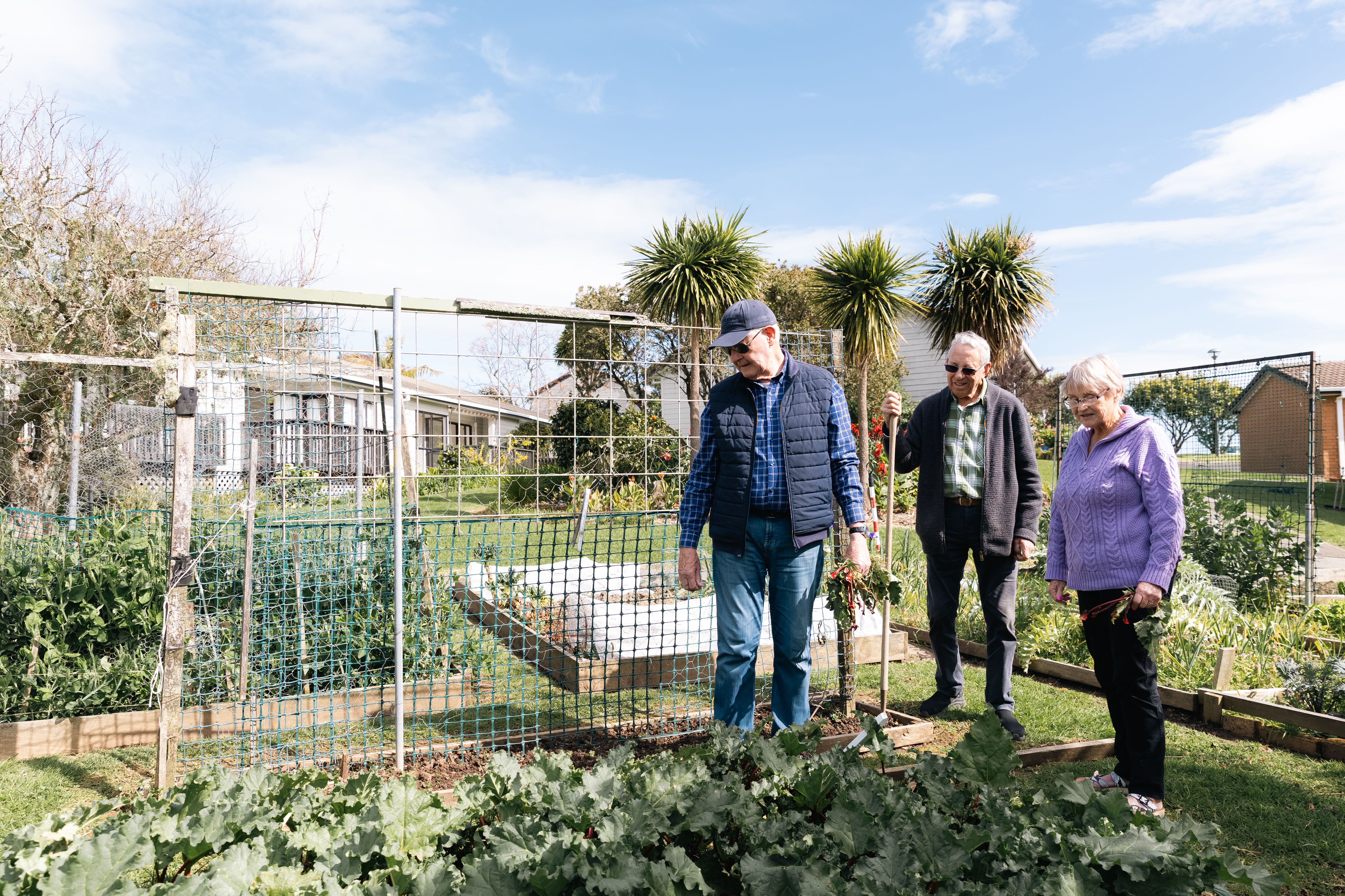 Vege plots