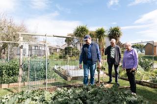 Vege plots