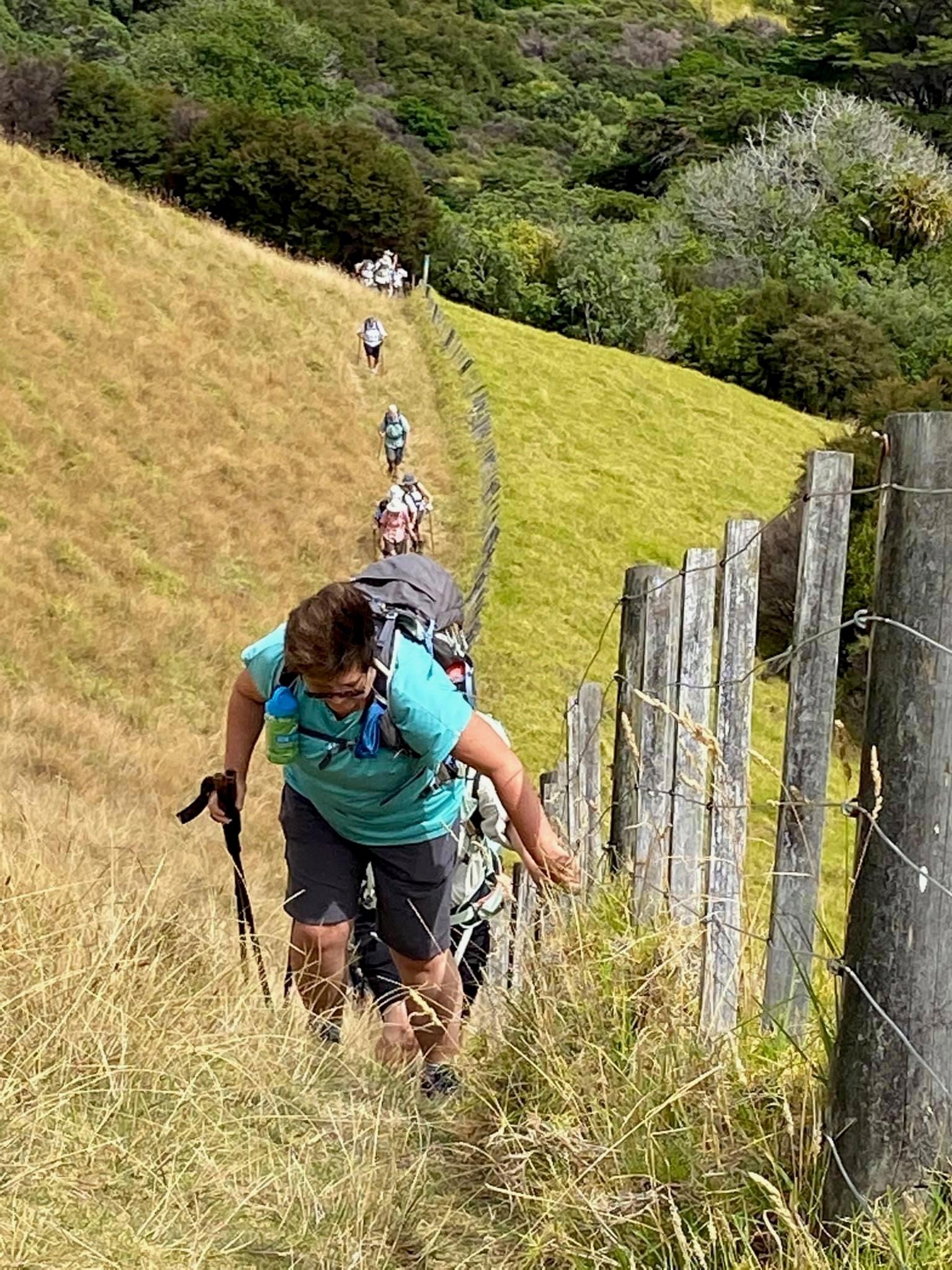 Walking group climbs a hill through knee length grass