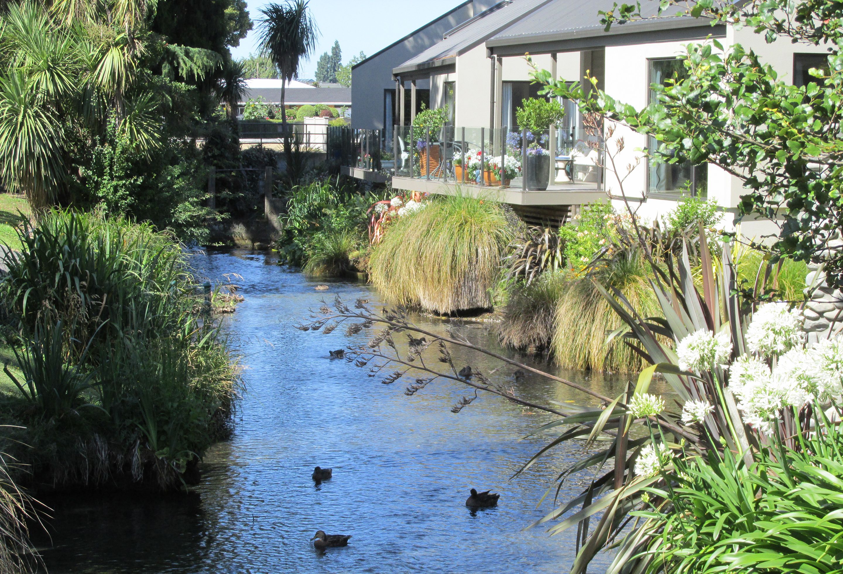 Springland stream and villa