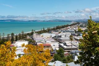 Napier's coastline
