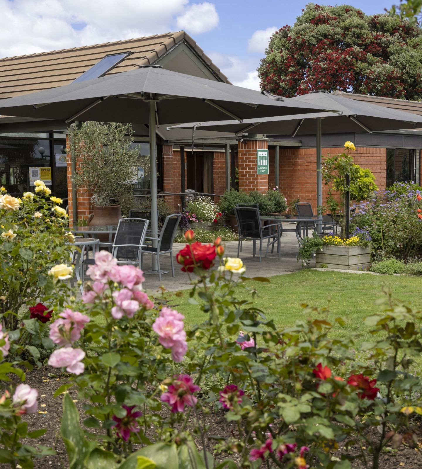 Village rose garden