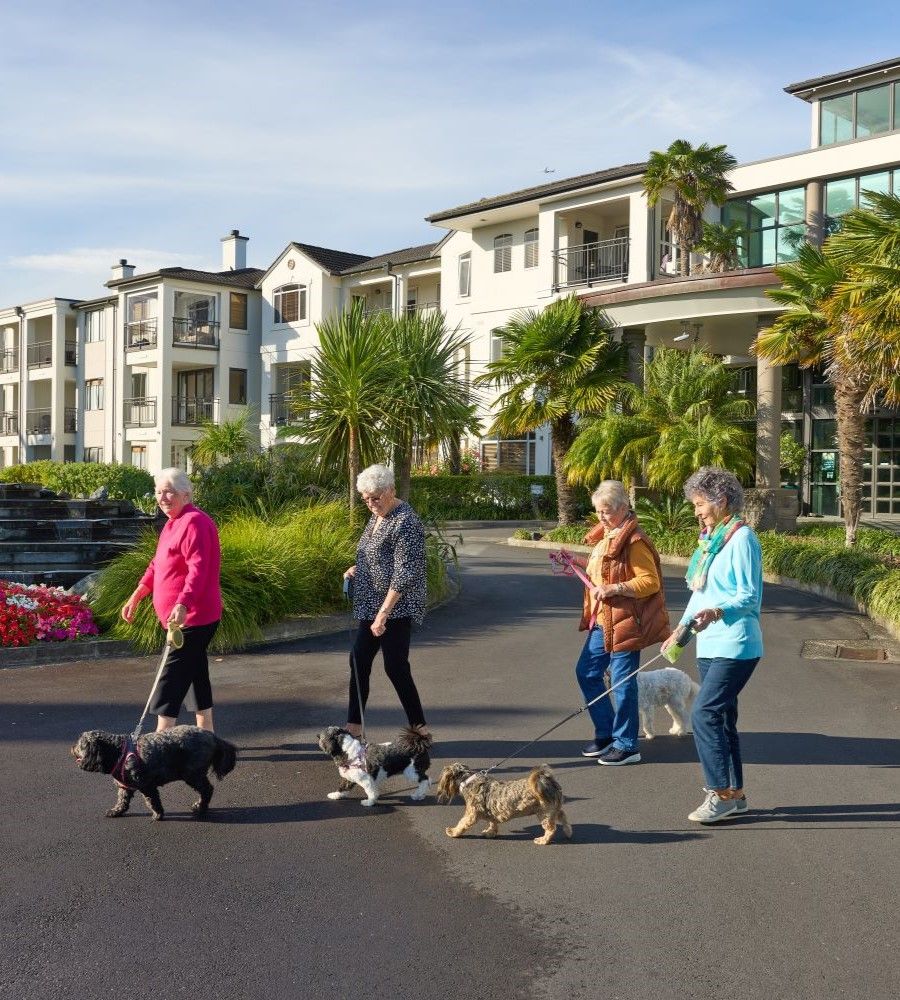 Residents walking their dogs through the village gardens