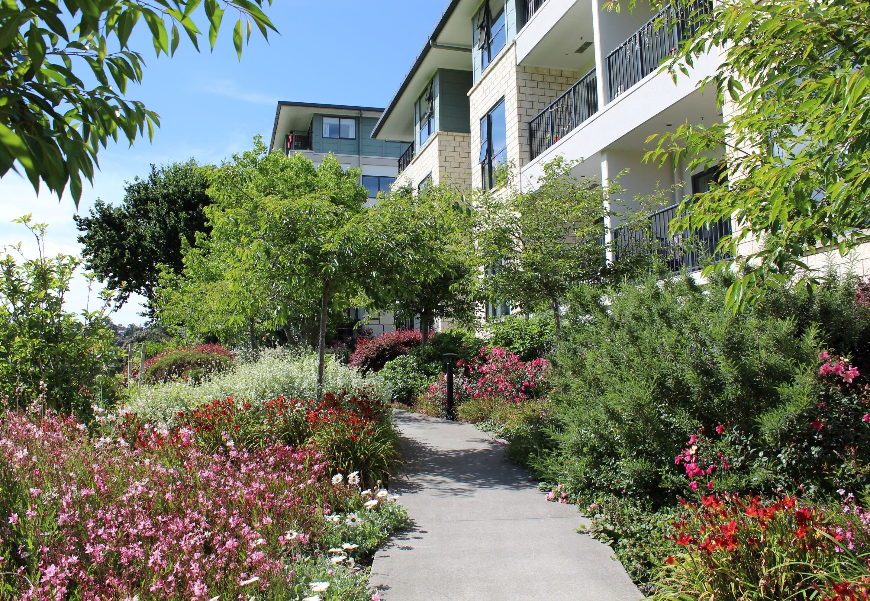 Retirement Village on the North Shore - The Orchards