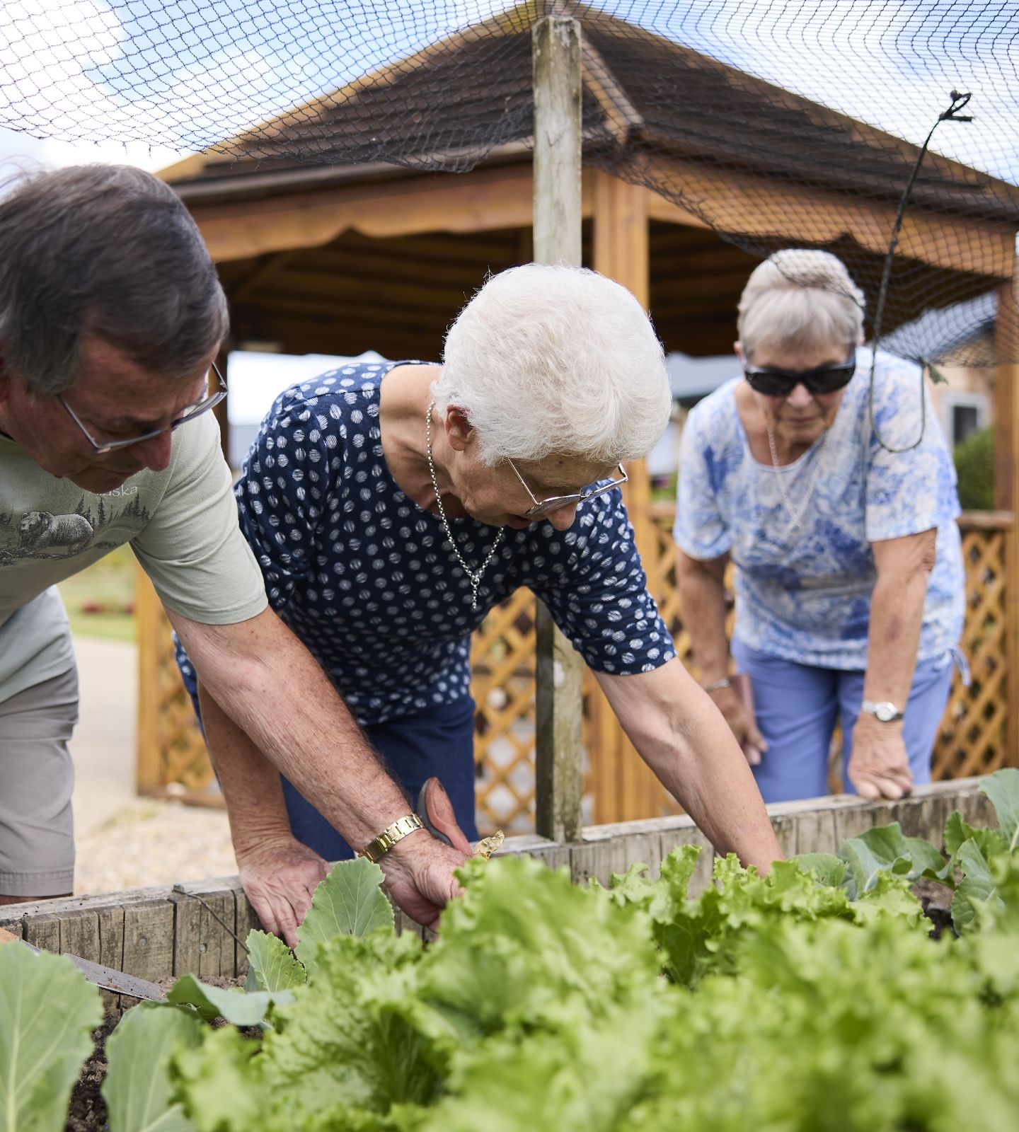Gardening residents