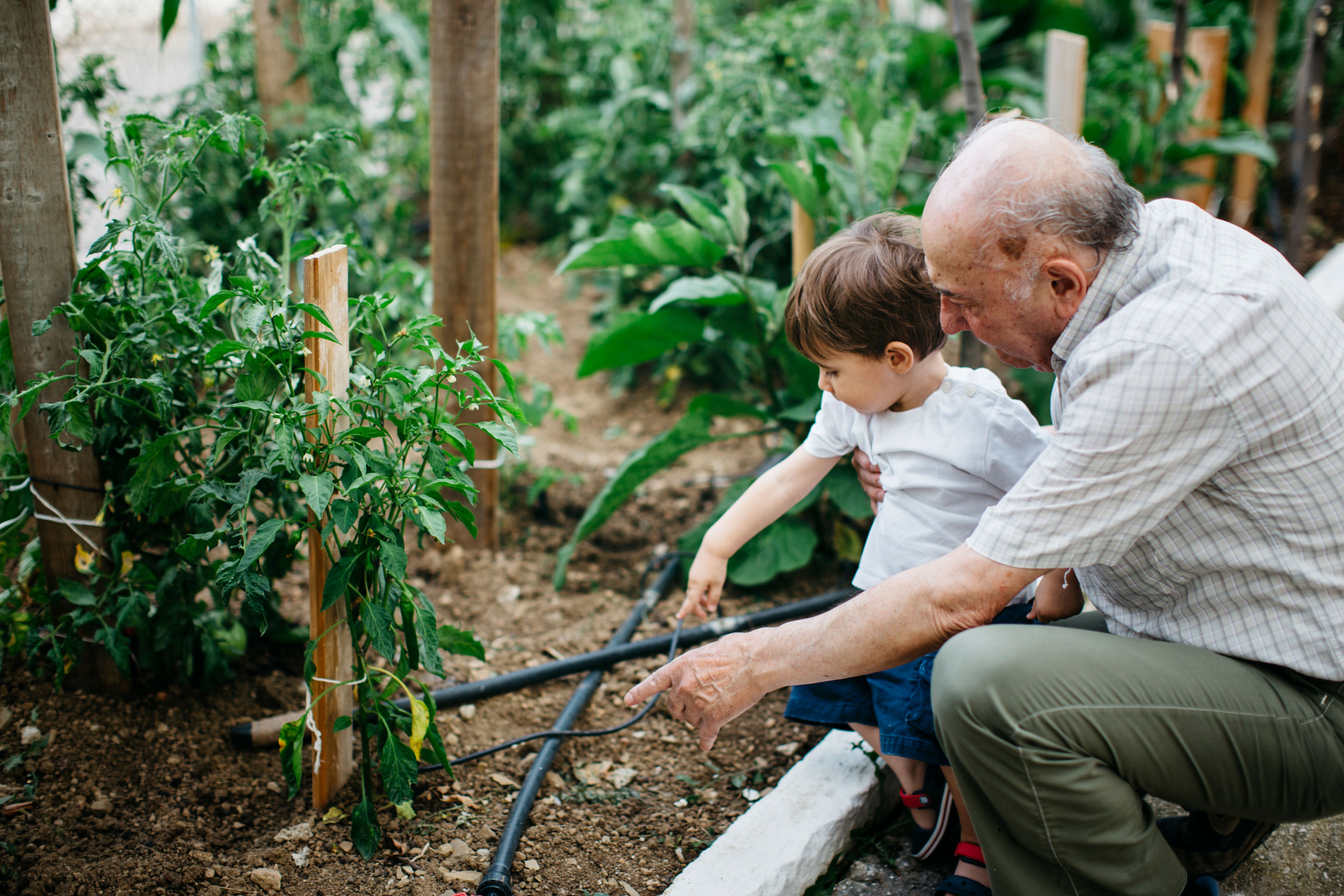 Resident gardening