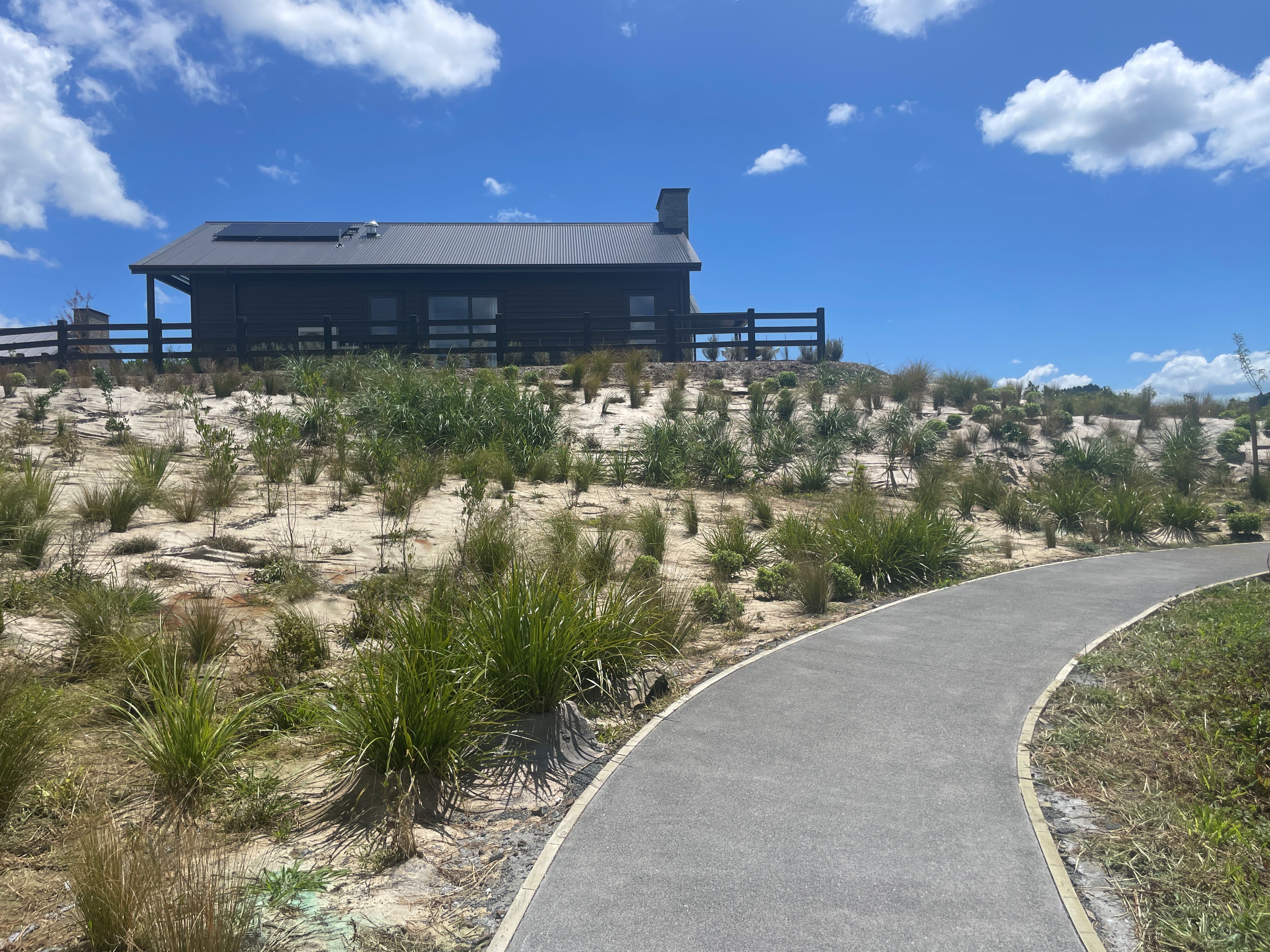  Eco-sourced planting at Ōtau Ridge