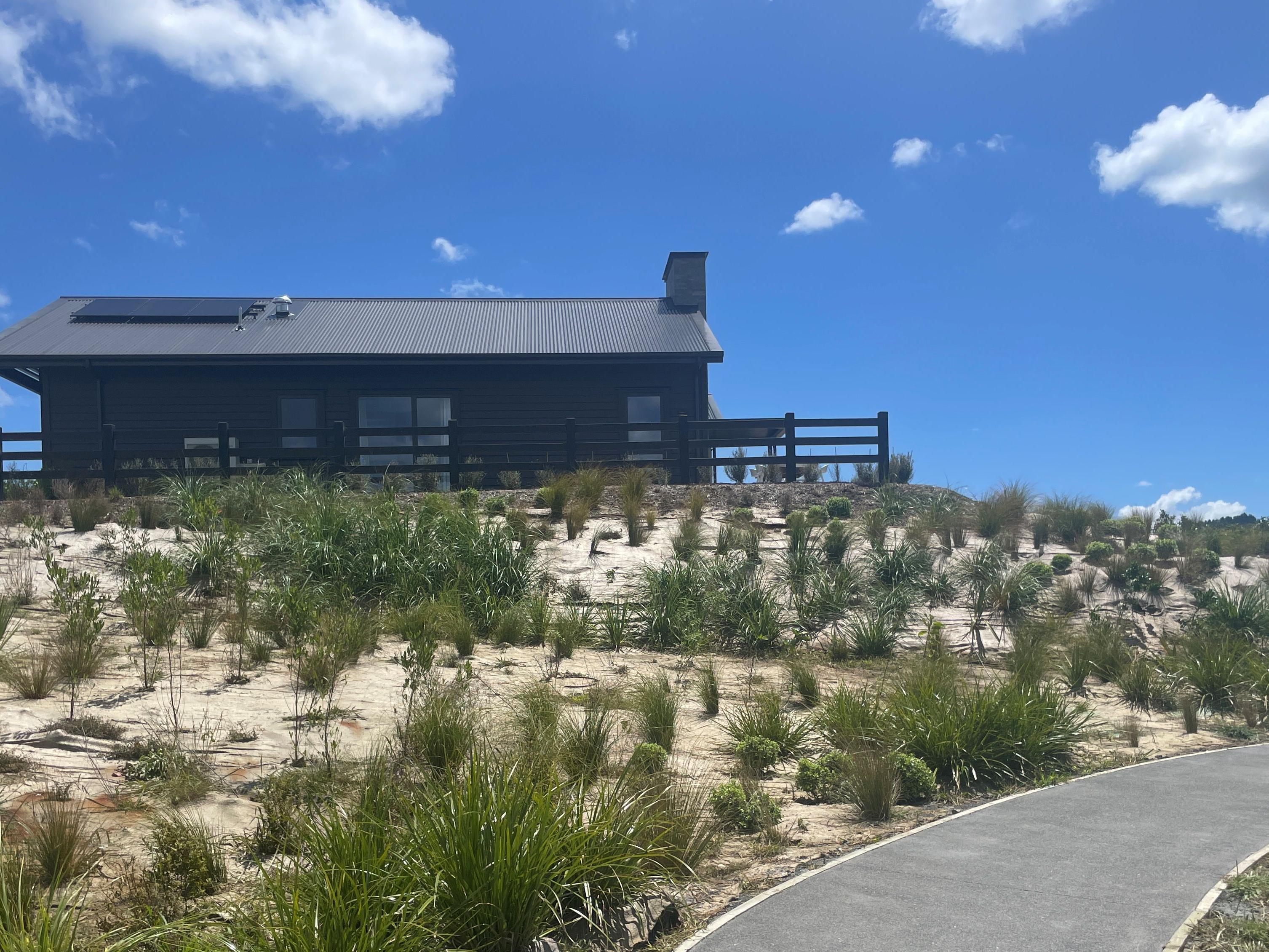 Eco-sourced planting at Ōtau Ridge