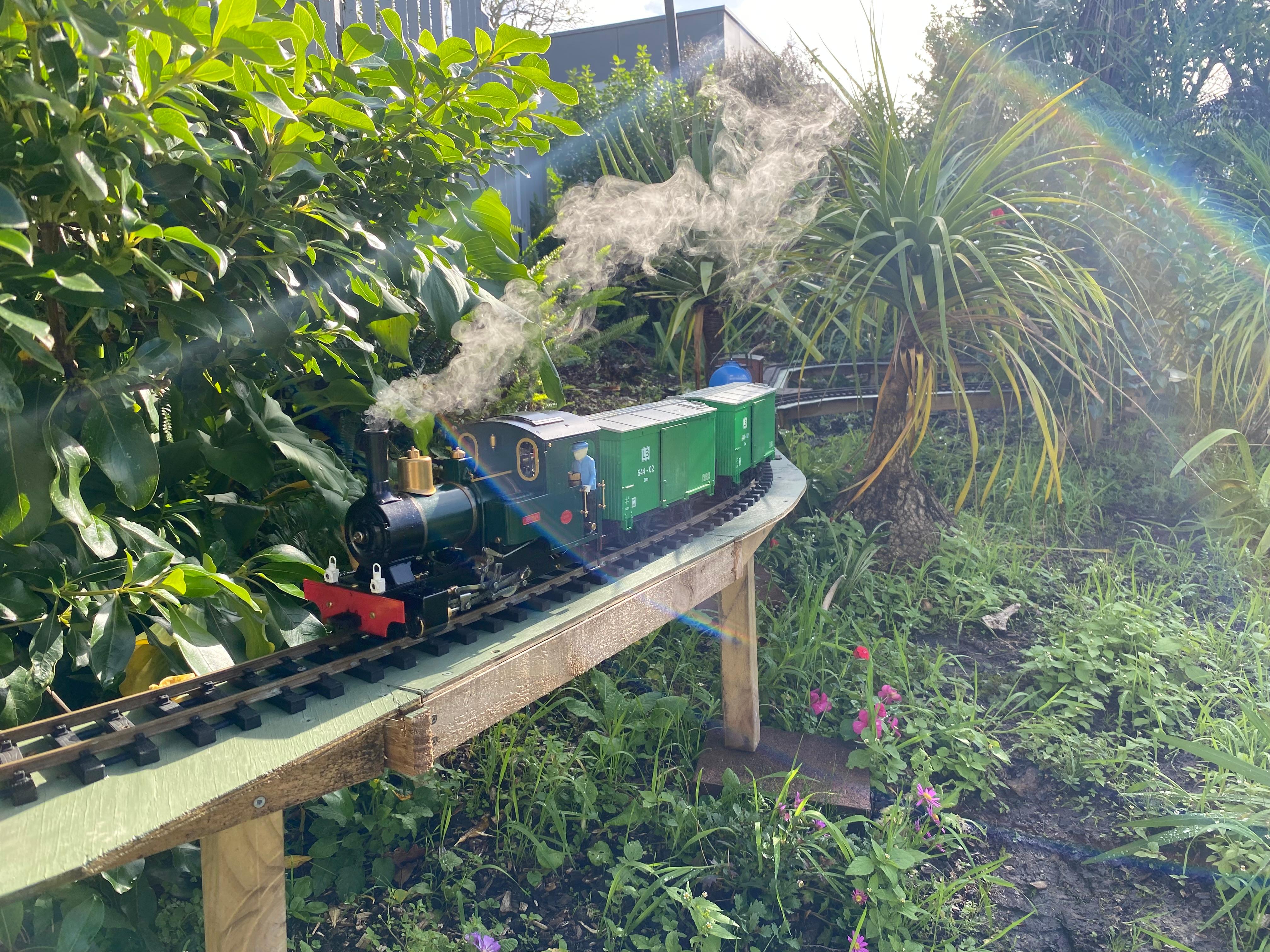 Hugh's steam train in action on the railway