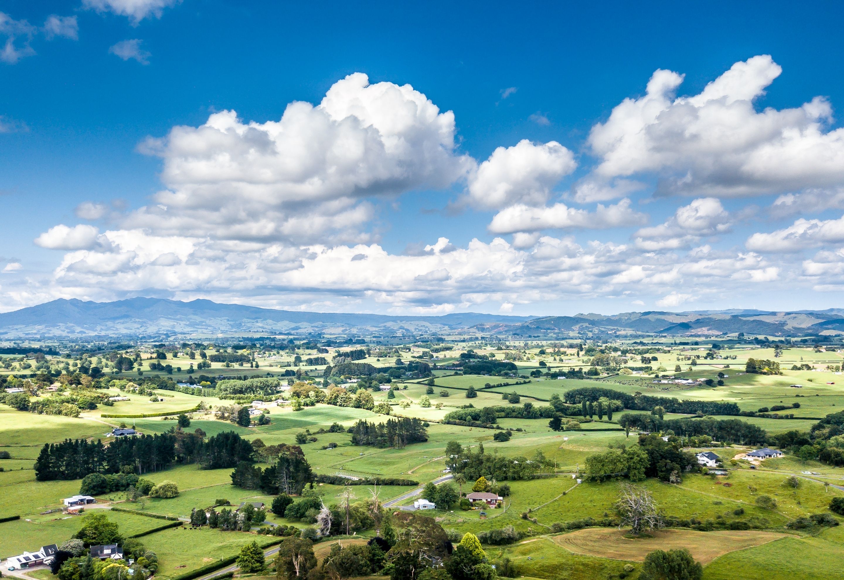 View of Pukekohe