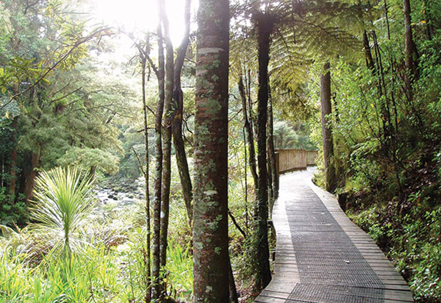 mair park