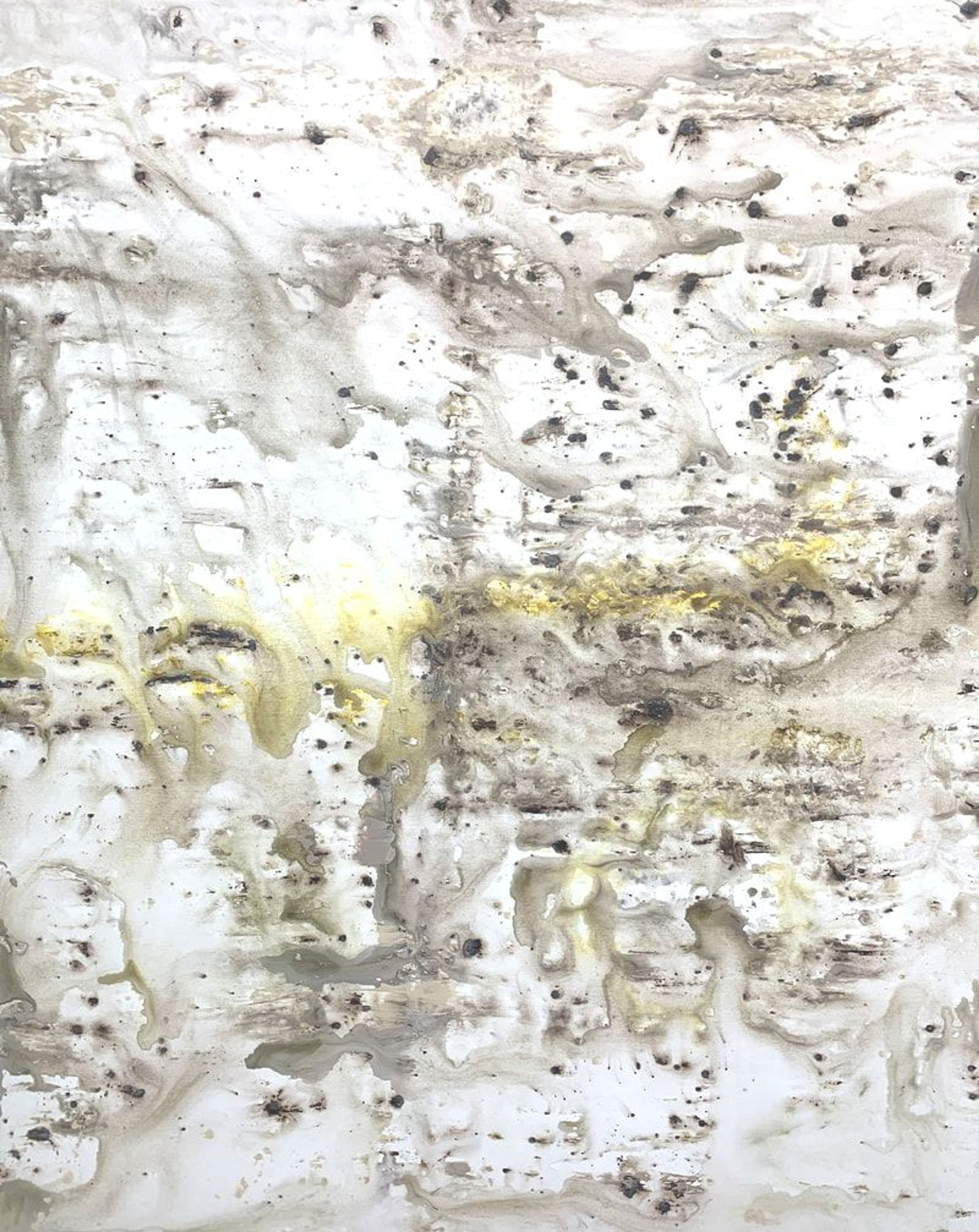 Birch Wood, Acrylic on canvas