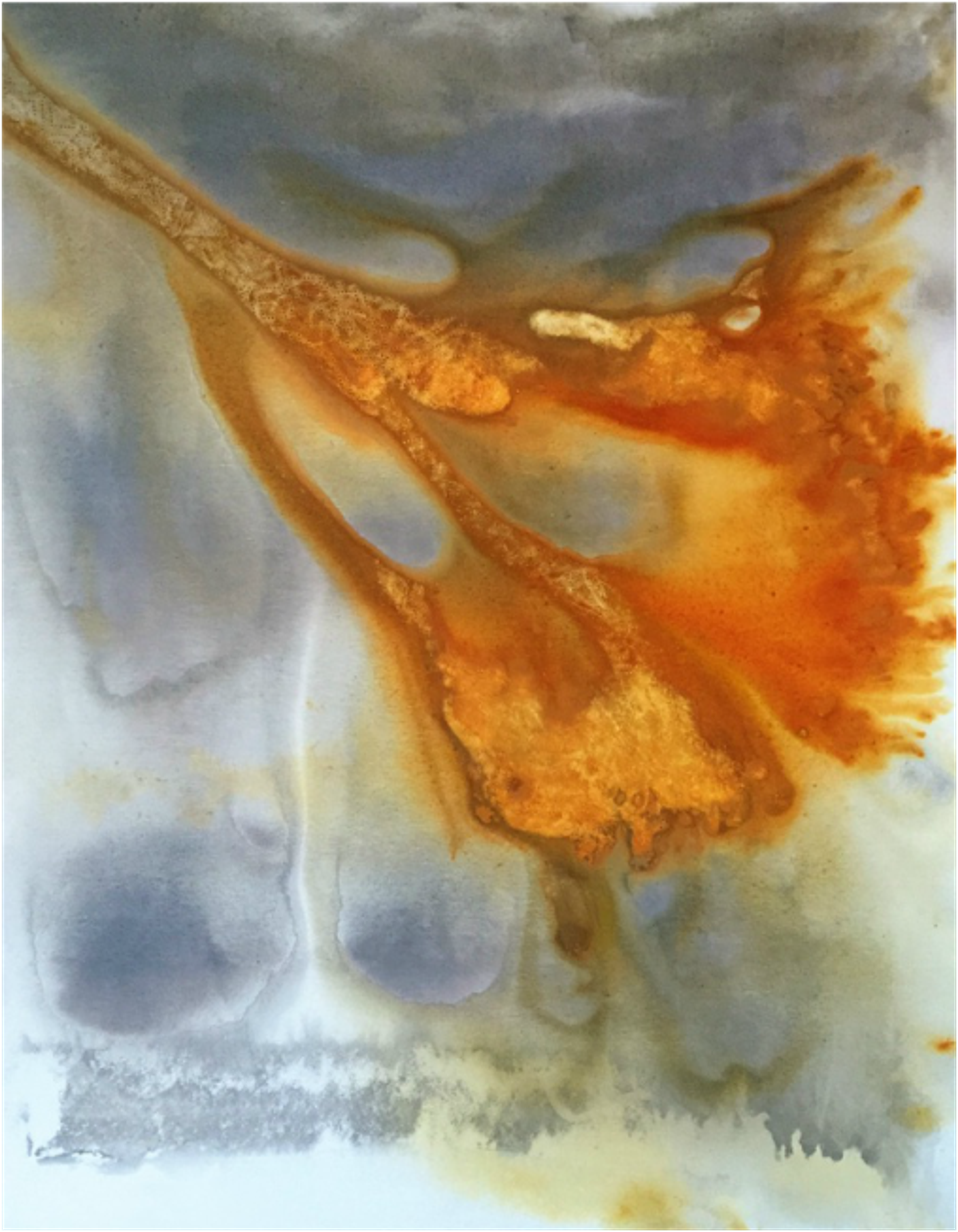 Acridine Orange, Acrylic on canvas