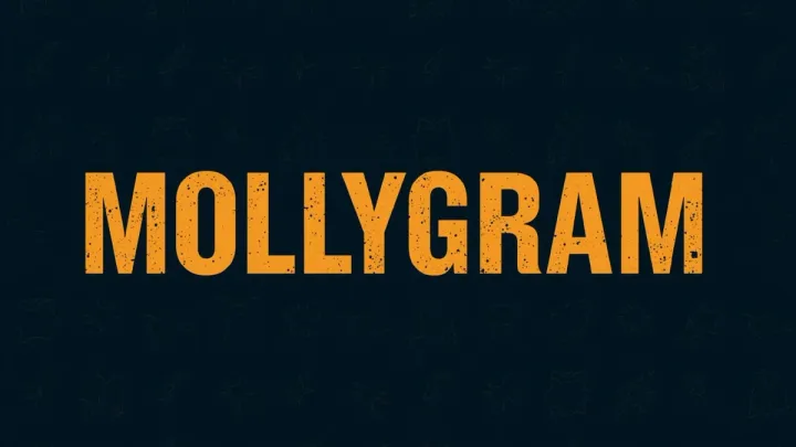 MollyGram browser-based Instagram viewer for anonymous viewing and downloading of public Reels, Stories, and posts without login.