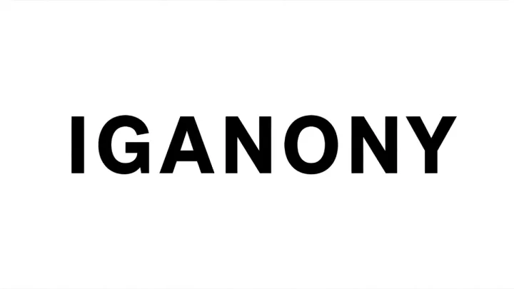 IgAnony free browser tool for anonymous viewing of public Instagram stories and content without registration.