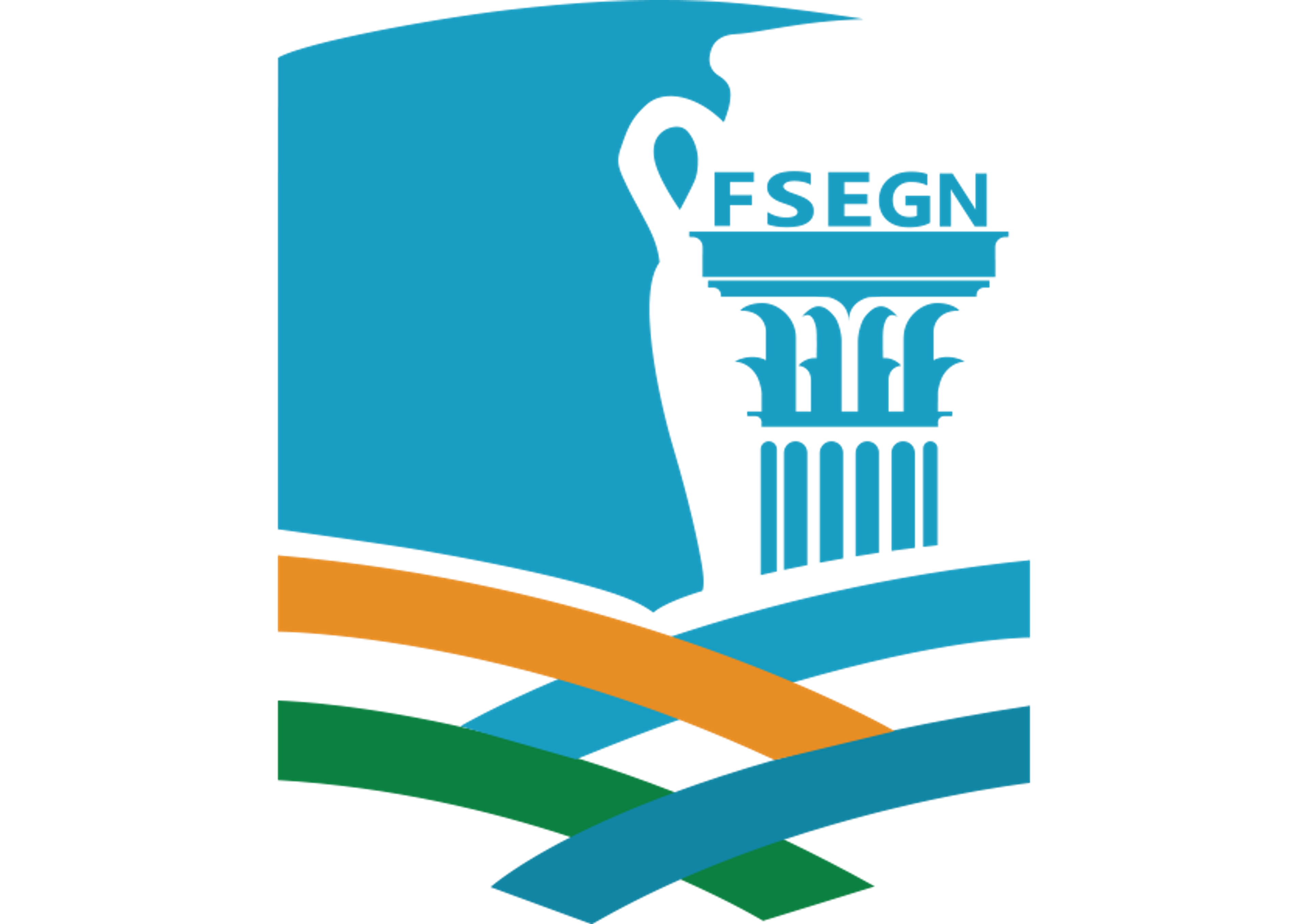 FSEGN