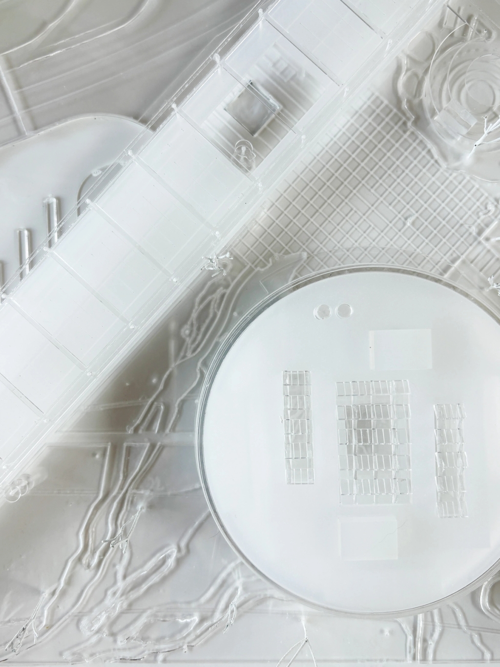 Competition Křižanova Pila 1rst Pize