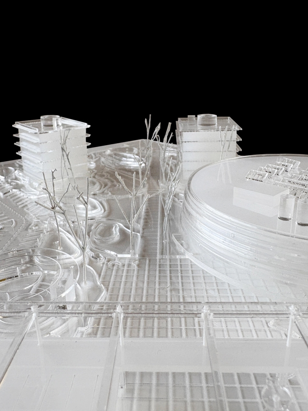 Competition Křižanova Pila 1rst Pize