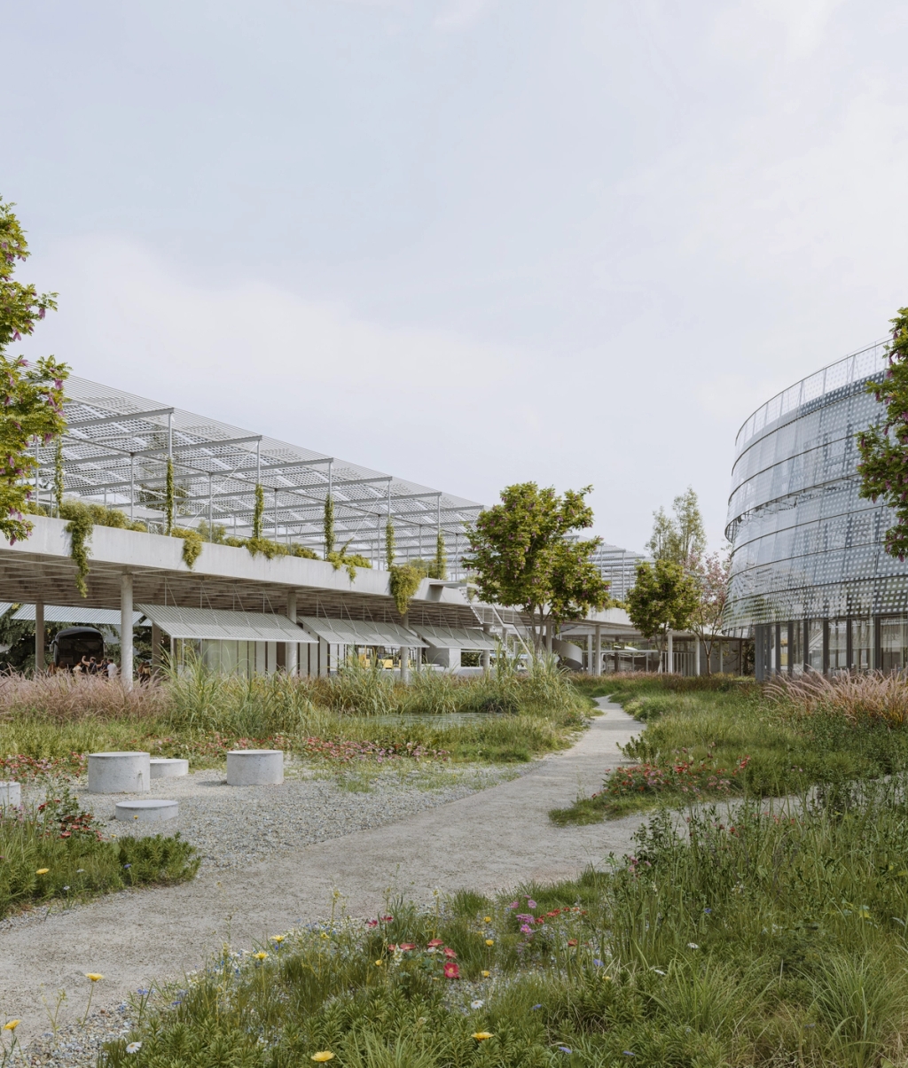 Competition Křižanova Pila 1rst Pize