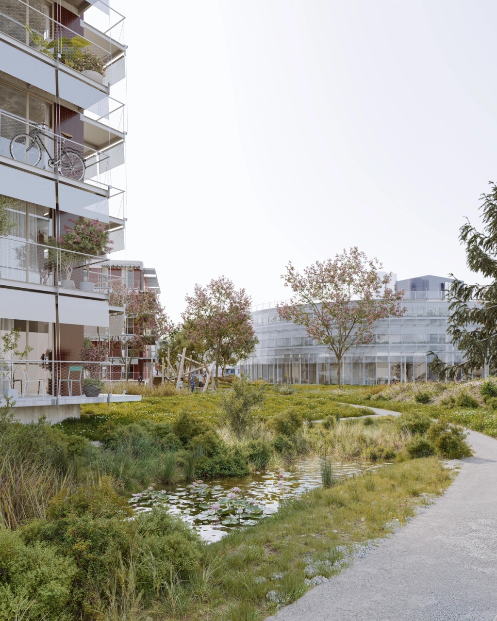 Competition Křižanova Pila 1rst Pize