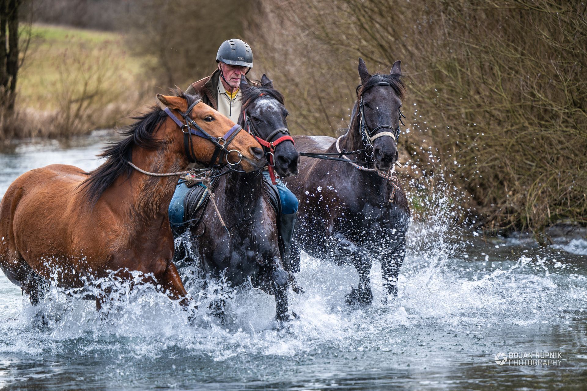 Galop čez poplavljeno Loško polje