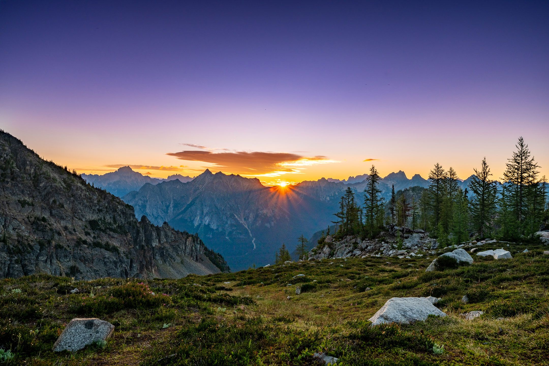 Free Advice Is Worth Its Price: Why Photo Logic Exists