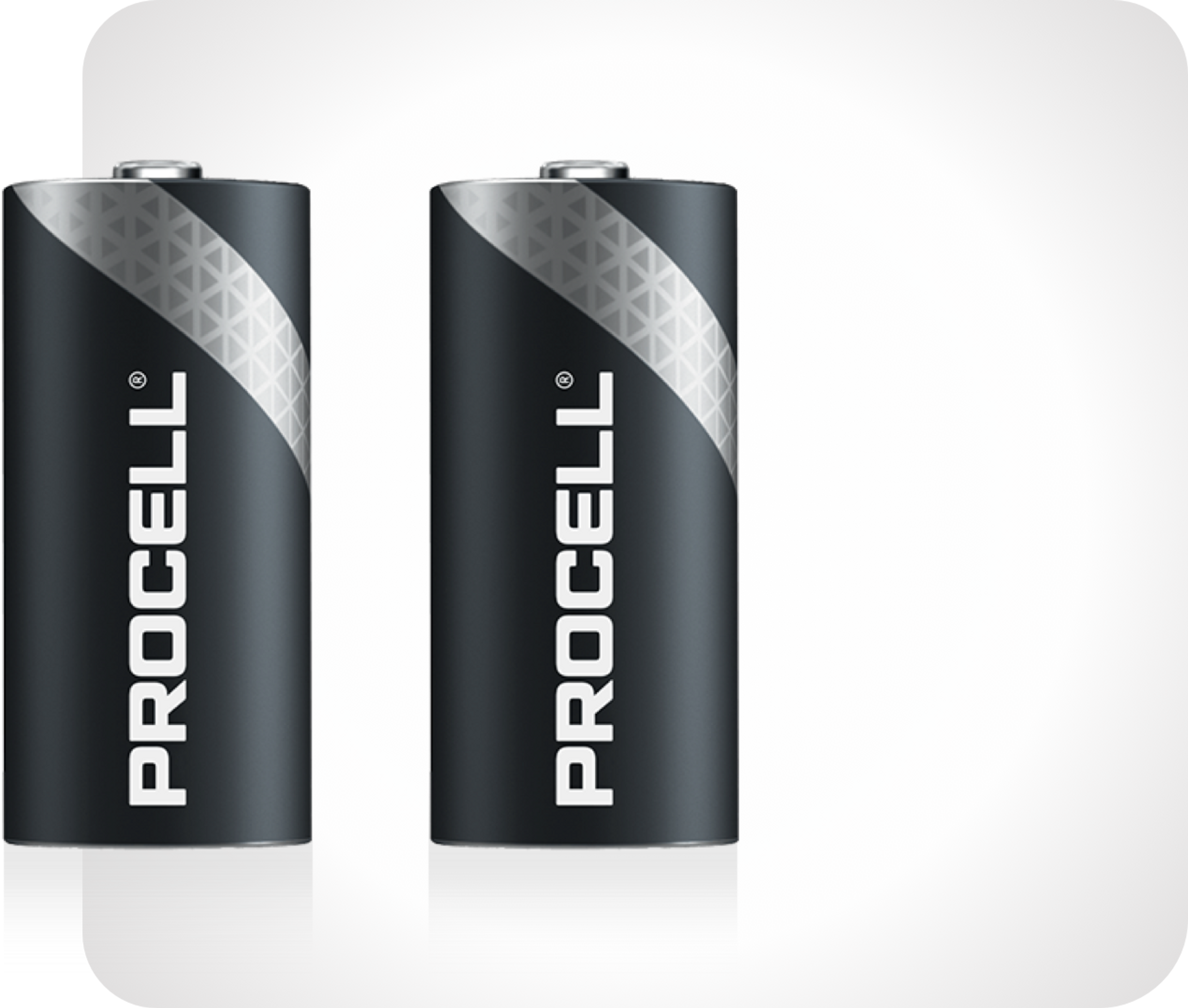 Photo de deux piles Procell au lithium