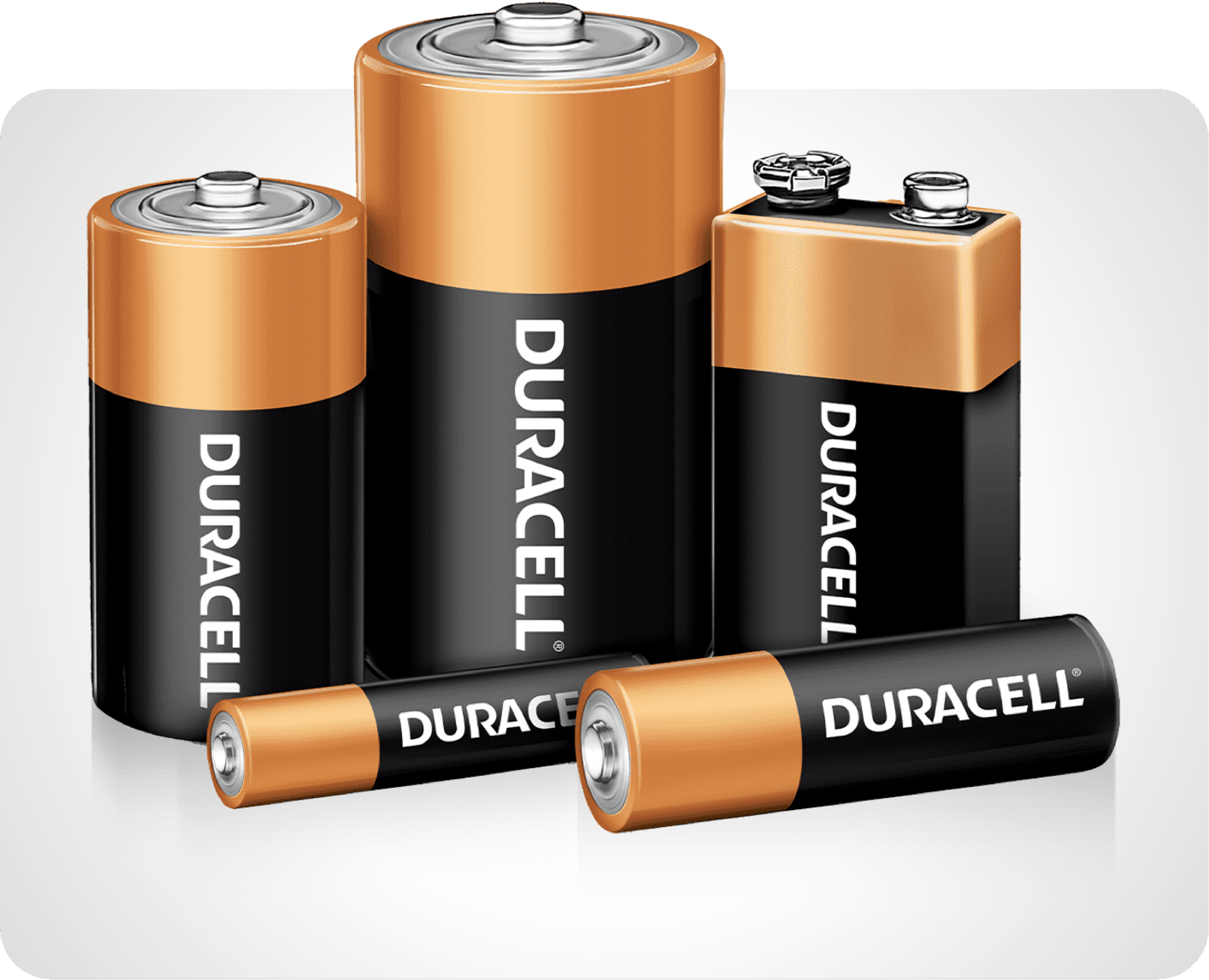 Image of various Procell batteries  in popular sizes: AA, AAA, C, D and 9-volt