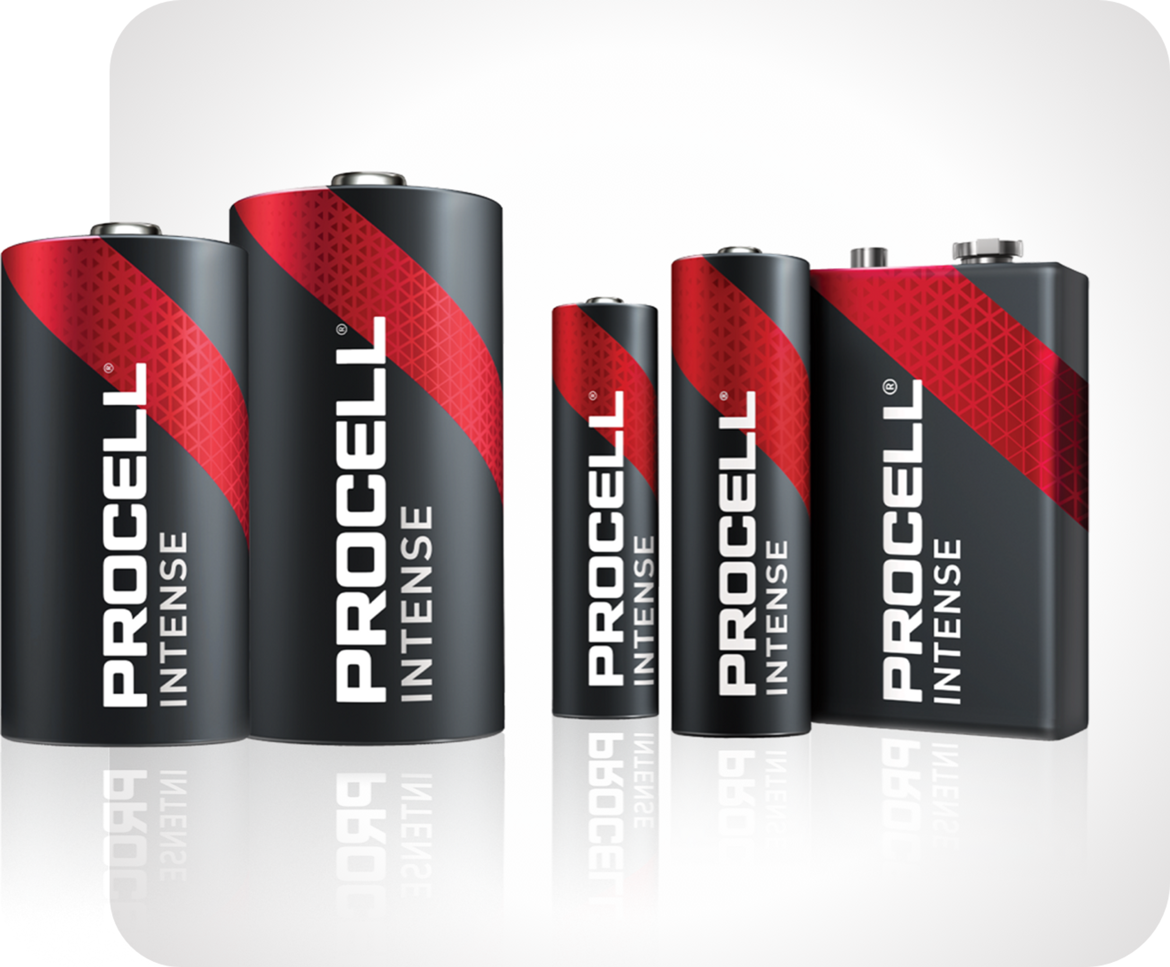 Photo de diverses piles Procell Plus dans les formats courants : AA, AAA, C, D et 9 volts